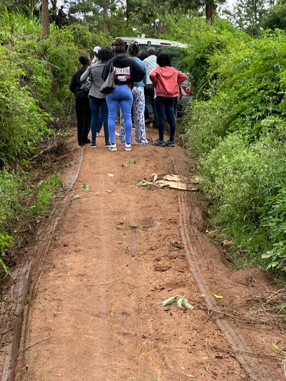 NVCBO team walking a forest path towards their vehicle during a field visit