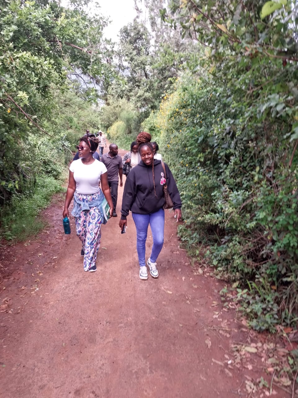 NVCBO team walking a forest path, smiling